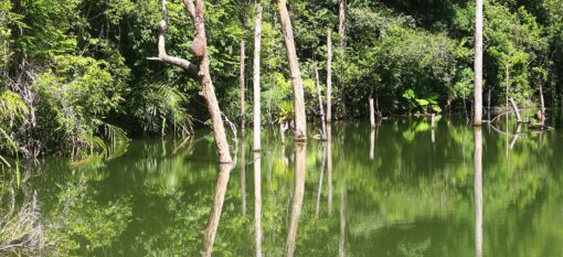Khlong Chak Waterfall à Koh Lanta