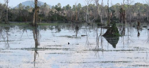 Neak Pean à Angkor