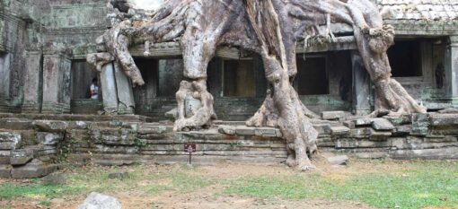 Preah Khan à Angkor