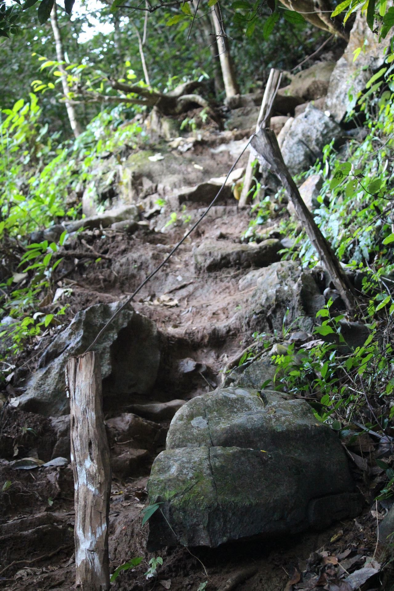 Chemin escarpé ascension Pha Ngeun