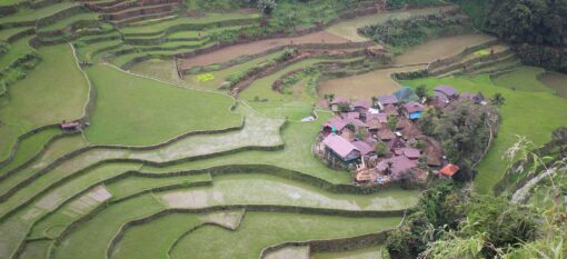 Les rizières de Bangaan aux Philippines