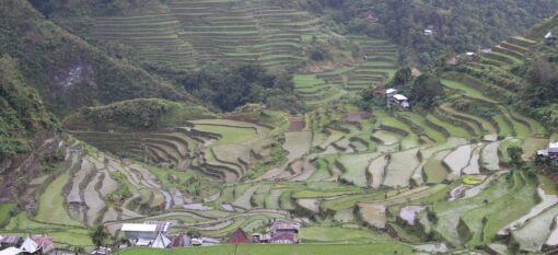 Batad, les plus belles rizières des Philippines