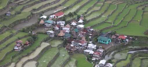 Les rizières des Philippines