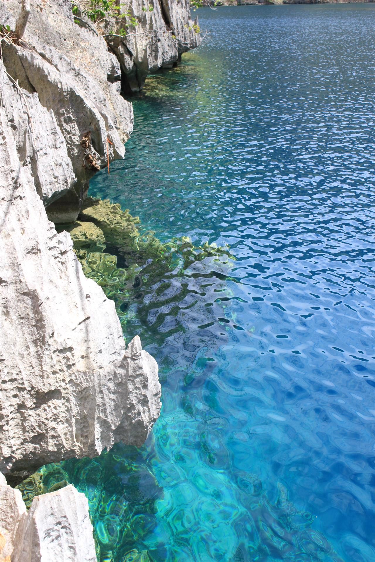 Coron Barracuda Lake