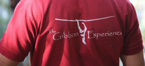 Le Gibbon Experience au Laos