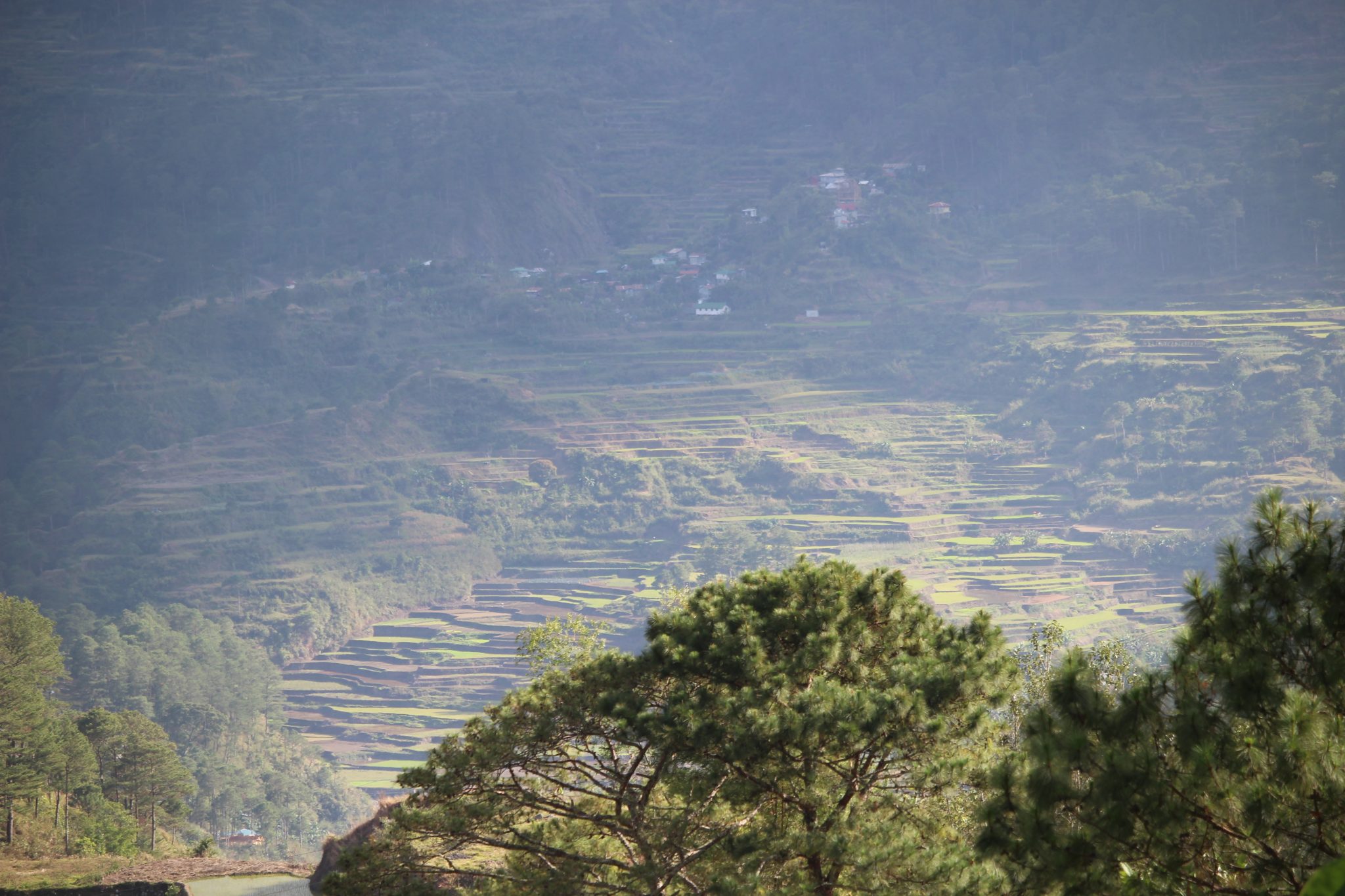 Sagada