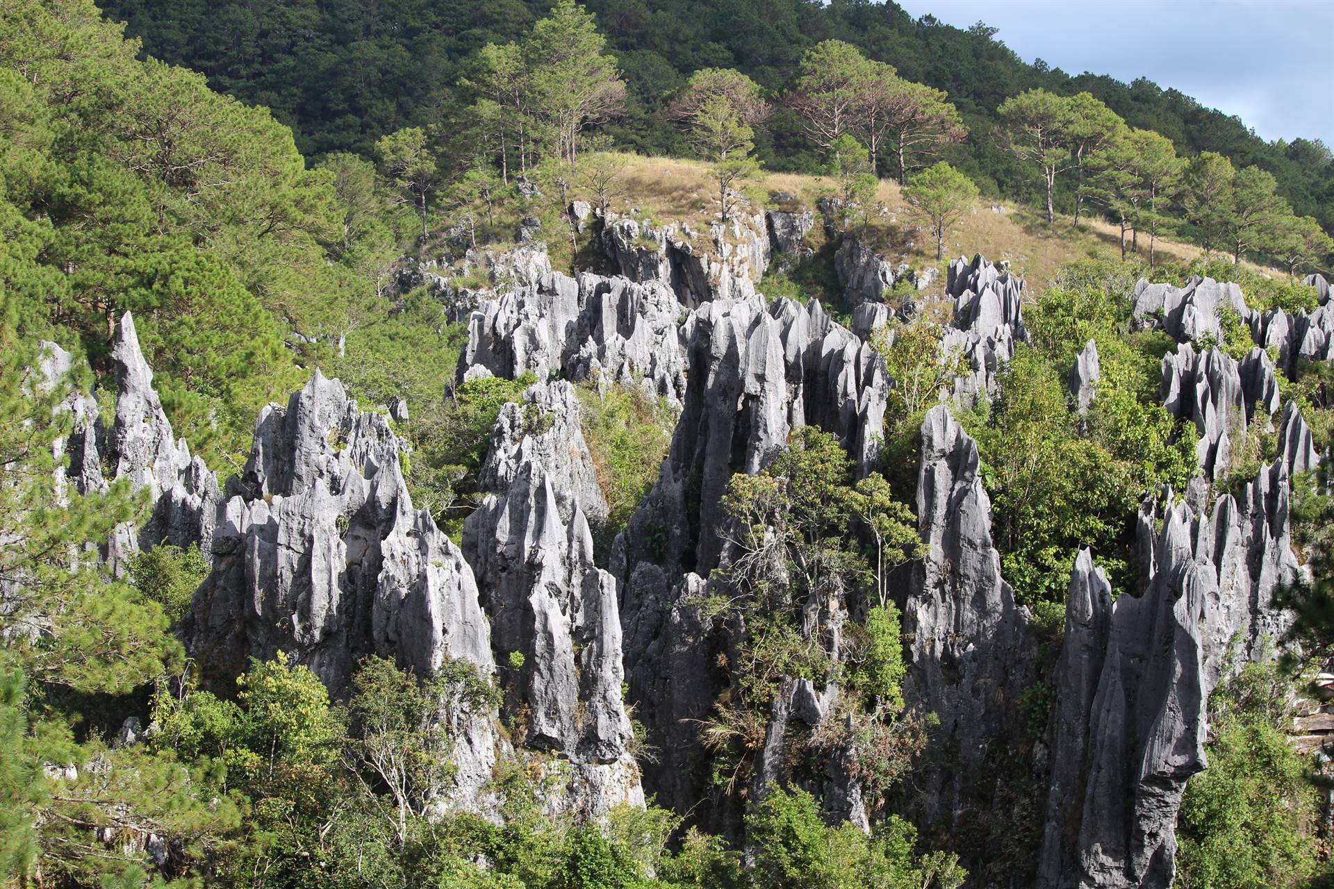 Sagada road to the caves