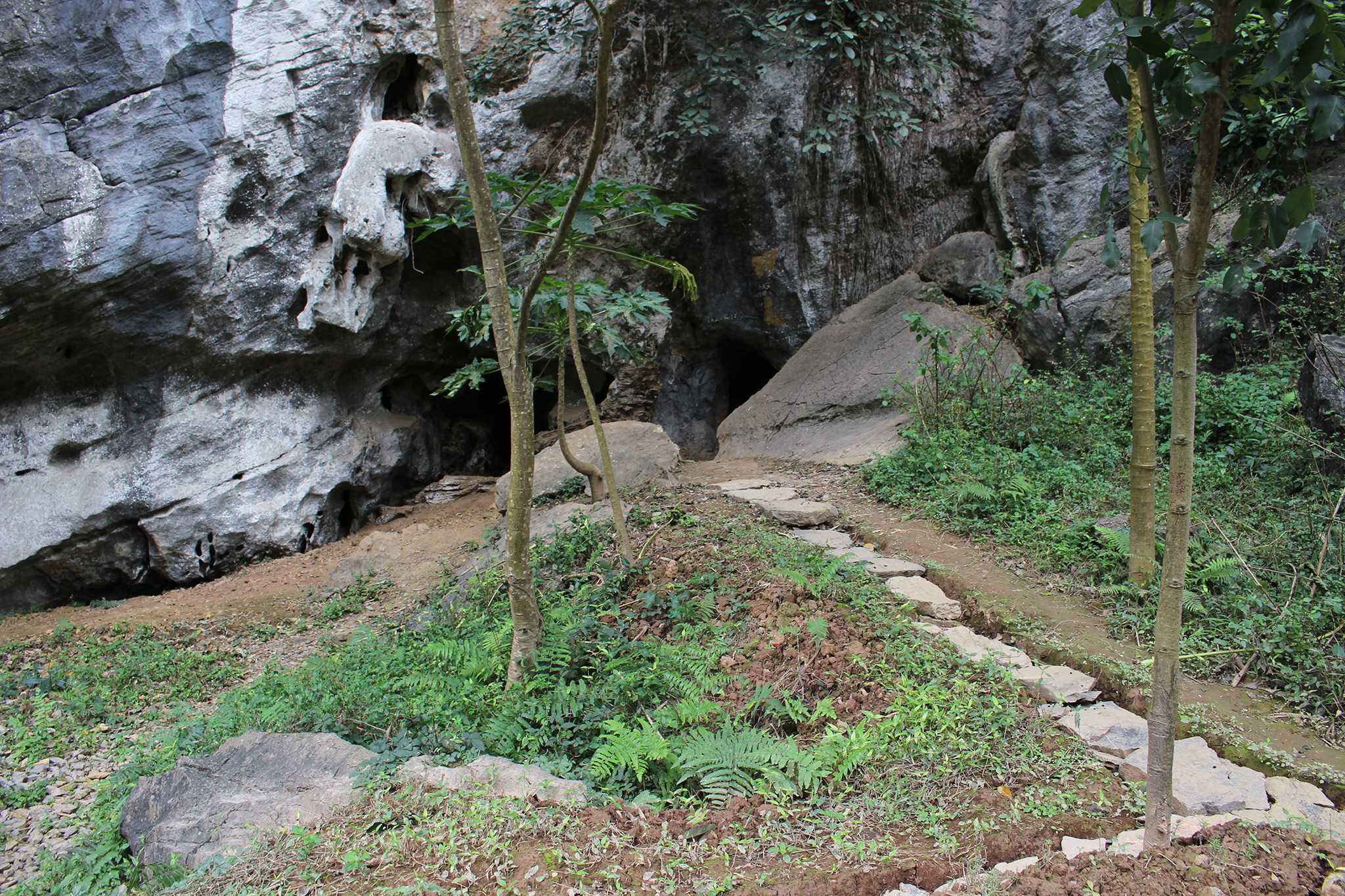 Tam Coc