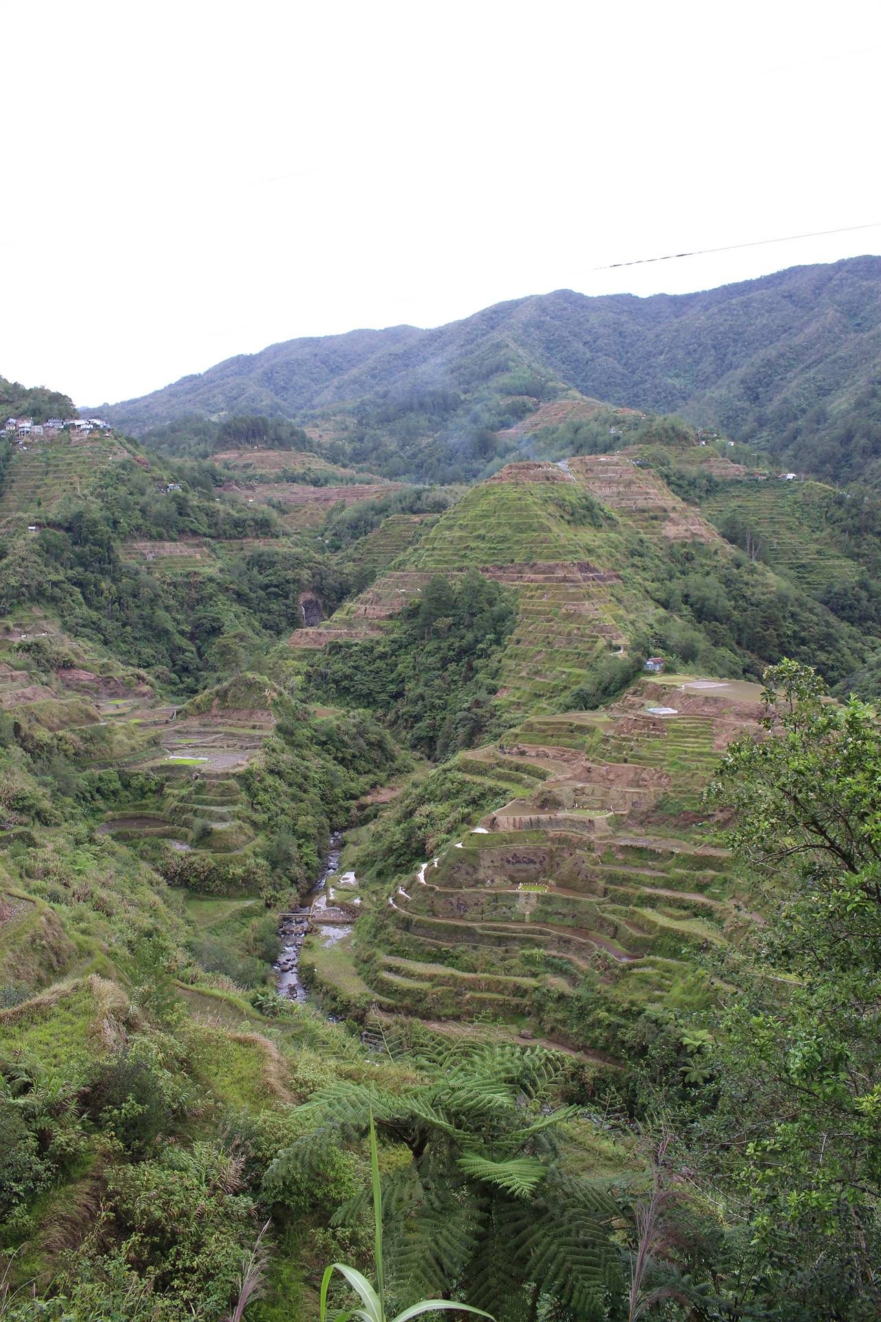 Rizières de Banaue