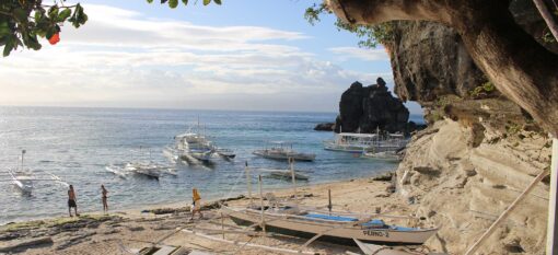 Apo Island et ses tortues