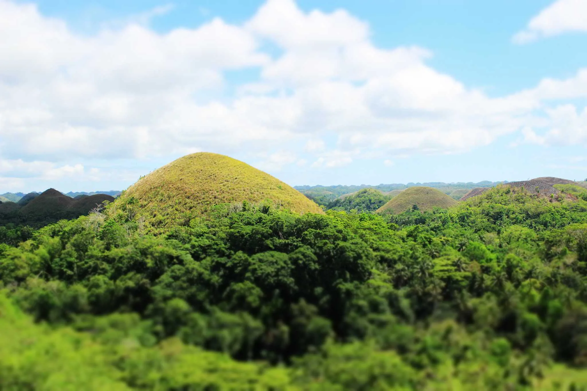 Bohol Chocolate Hills