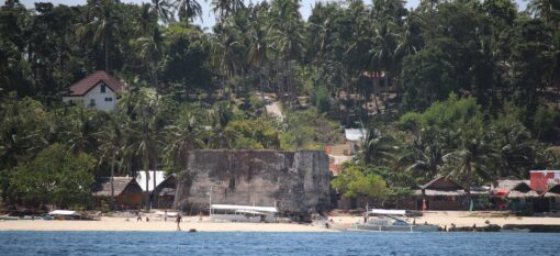 Pamilacan, un paradis des Philippines