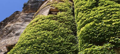 Visiter la Roque Gageac