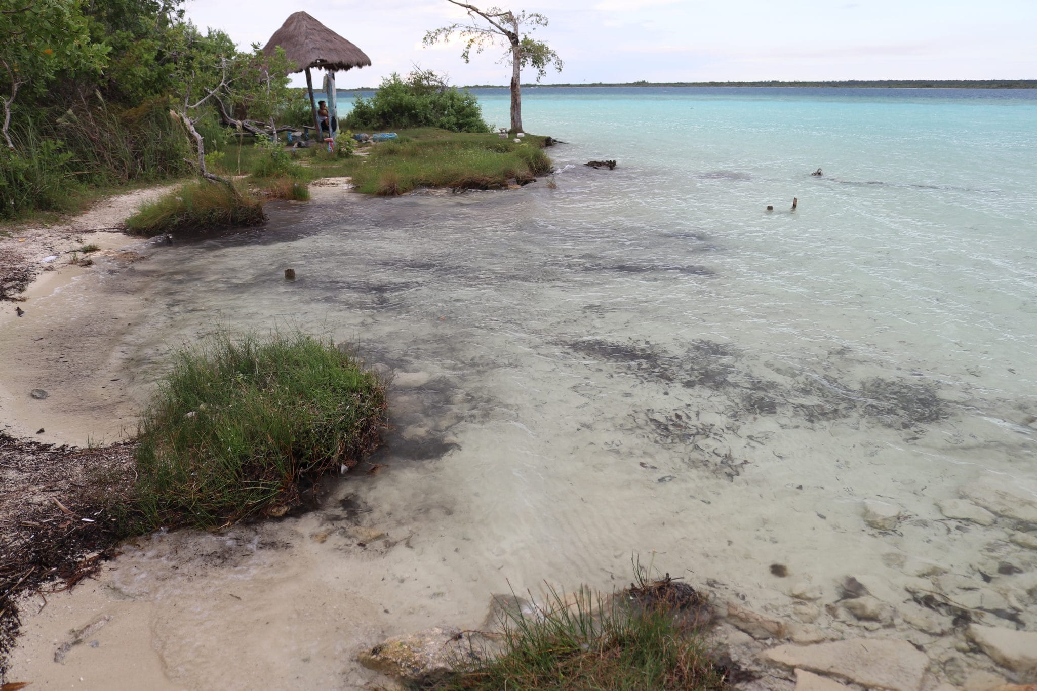 Bacalar