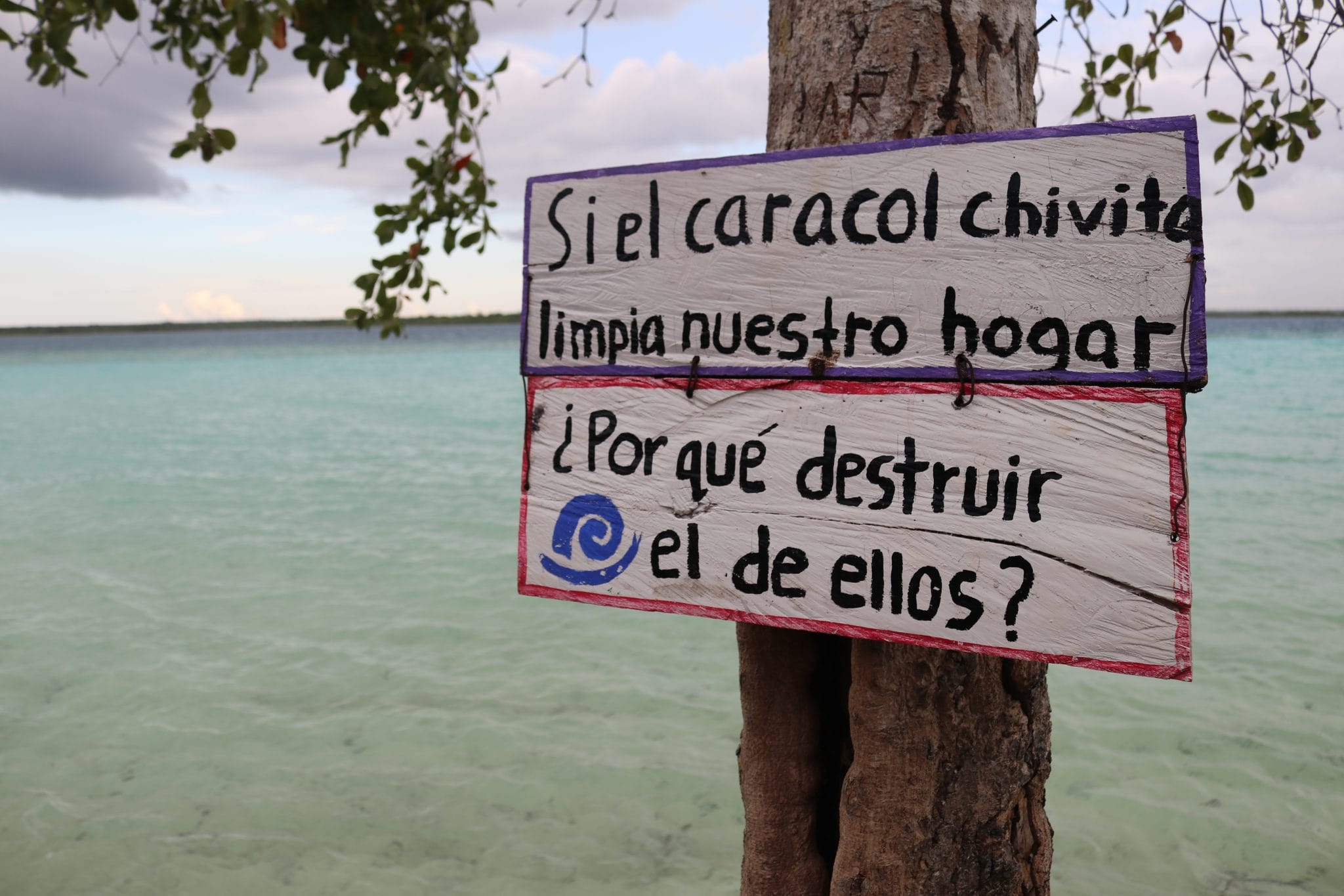 Bacalar