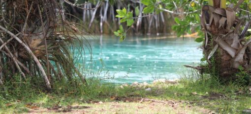 Los Rapidos, Bacalar , Mexico