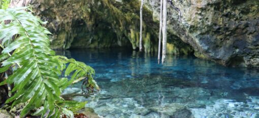 Les cenotes du Yucatan au Mexique