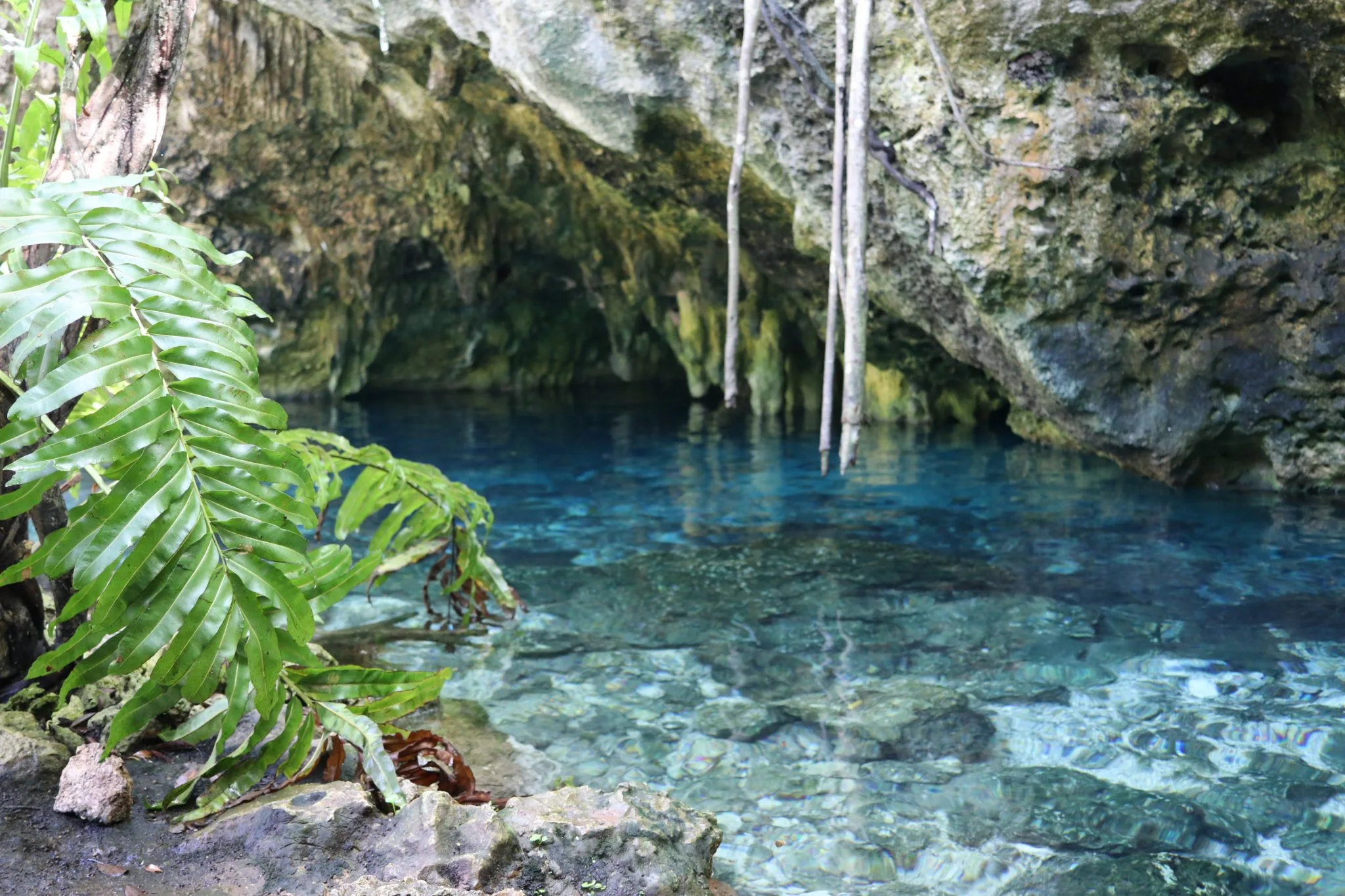 Grand Cenote