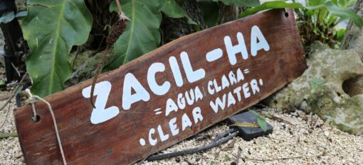 Visiter le cenote Zacil-Ha