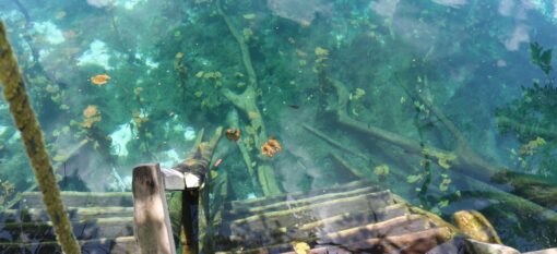 Cenote Car Wash, Tulum