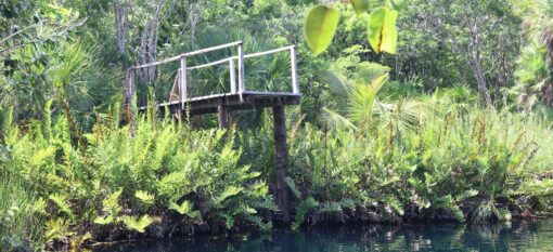 Cenote Cristal, Tulum