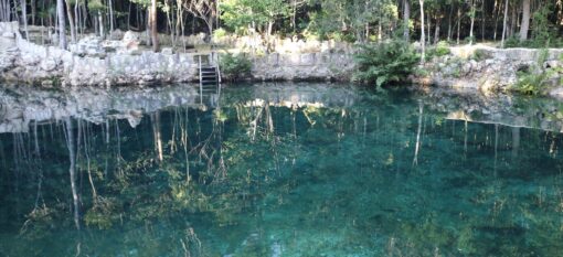 Cenotes Casa Tortuga