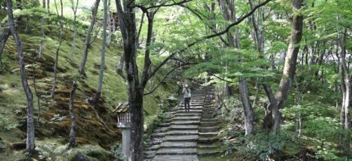 Jôjakkôji, un joyau de Kyoto
