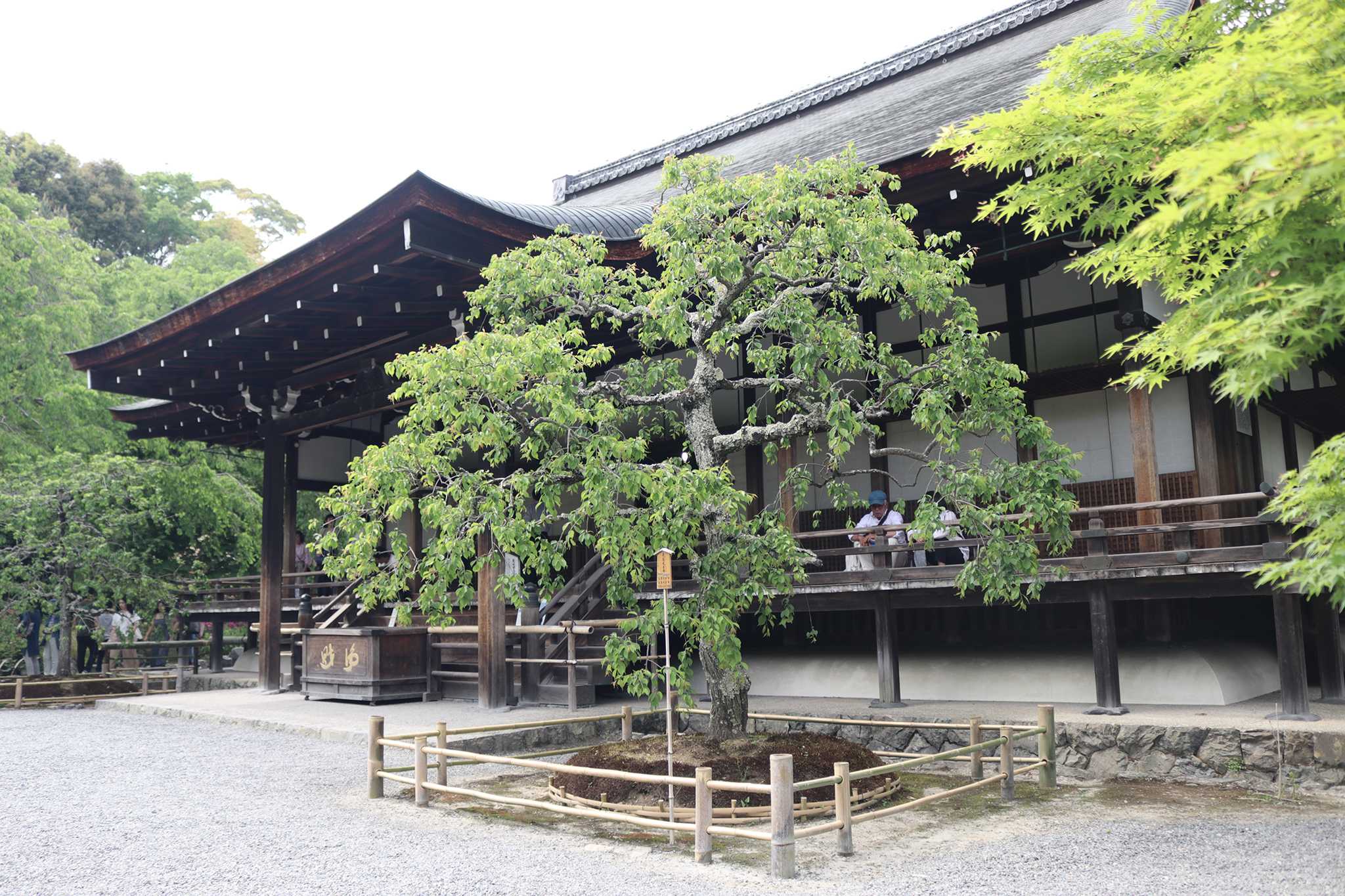 Tenryū-ji