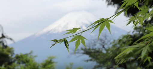 Arakura Fuji Sengen Jinja, Yamanashi