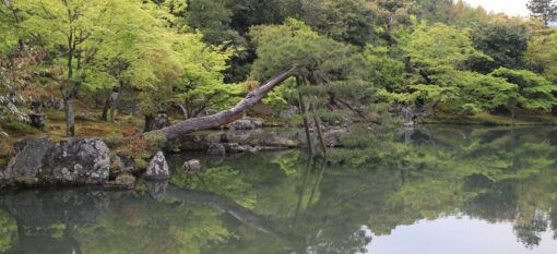 Tenryûji, Kyoto