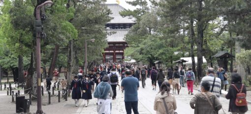Nara, première capitale du Japon