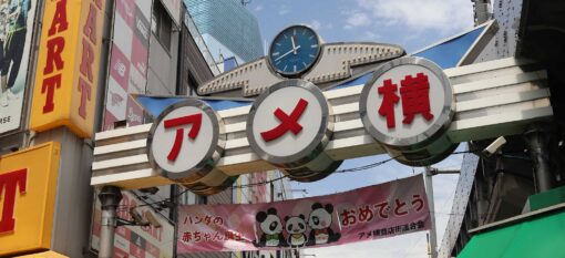 Découvrir Ameya Yokocho