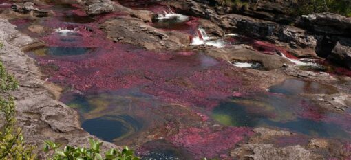 Caño Cristales, day 3