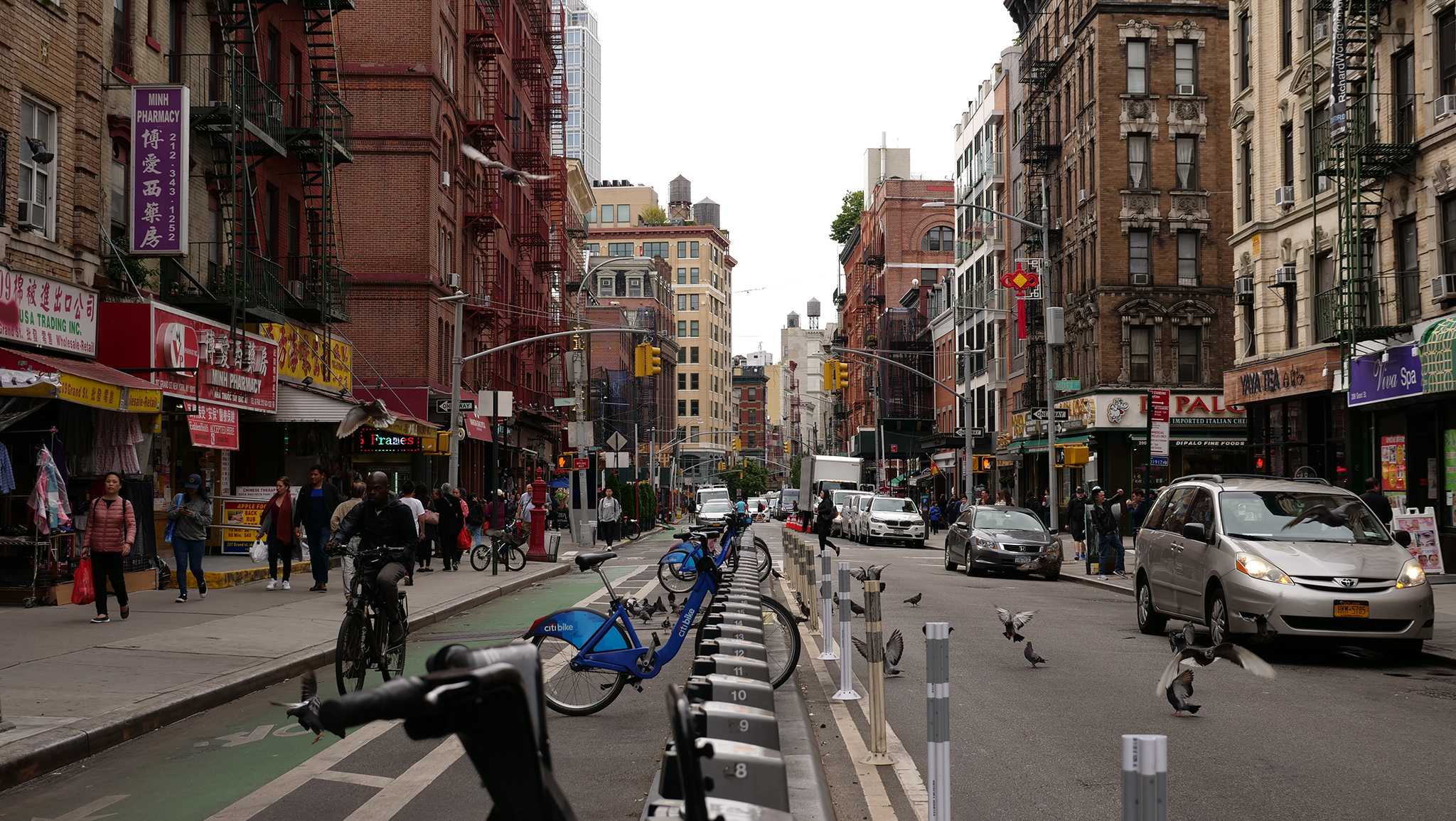 China Town Little Italy