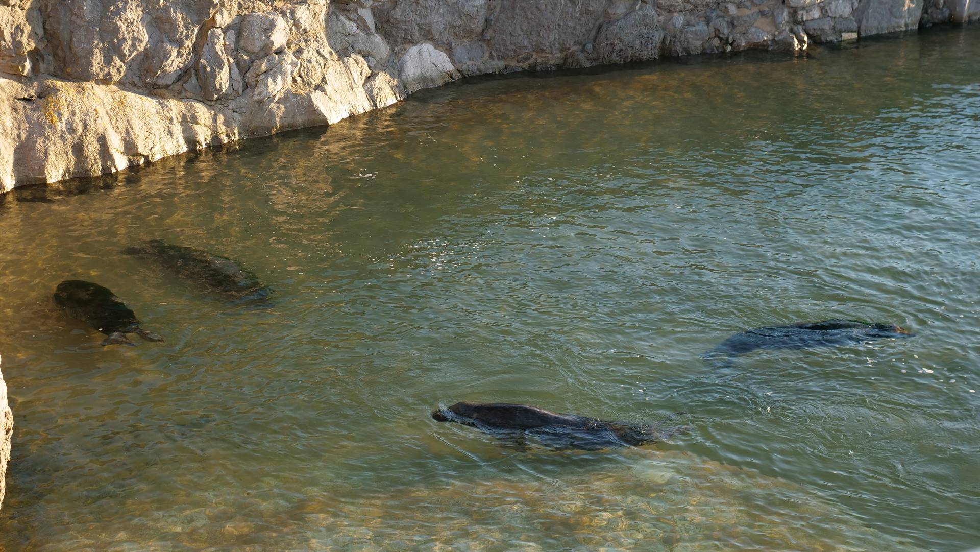 Parque de la Magdalena