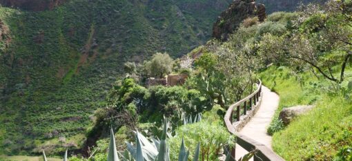 Barranco de Guayadeque
