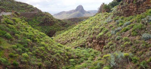 Gran Canaria, le continent miniature