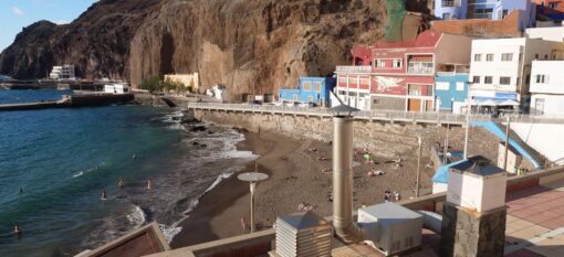 Sardina del Norte