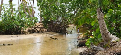 Playa Coson & Coson River
