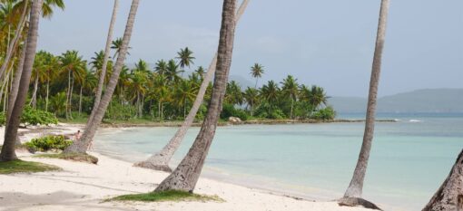 Playa del Aserradero, Las Galeras