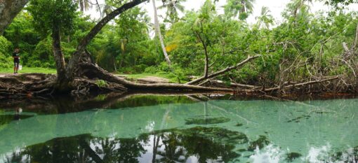 Playa Rincon et Caño Frio
