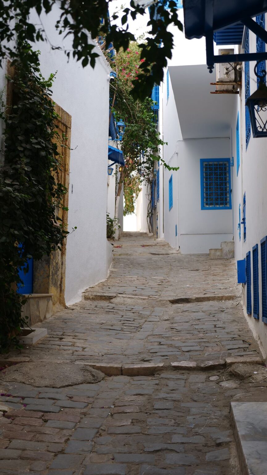 Belles Ruelles Visiter Si Di Bousaïd en Tunisie - Guide de voyage - Virtual Trip