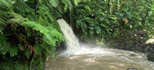 Cascade aux écrevisses en Basse-Terre