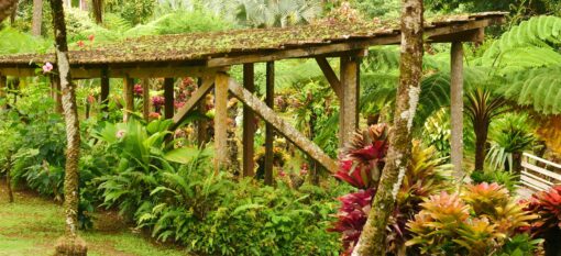 Visiter le nord de la Martinique