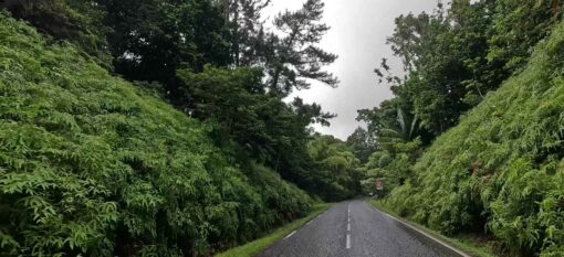 Route de la Traversée en Basse-Terre