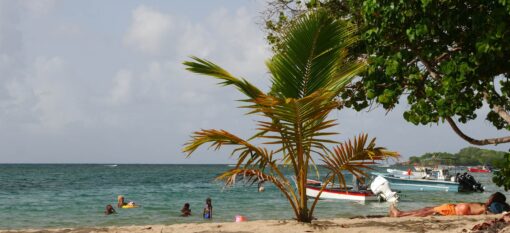 Presqu&rsquo;île de la Caravelle en Martinique