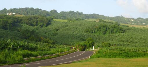 Un itinéraire au centre de la Martinique