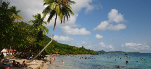 Anse Figuier en Martinique