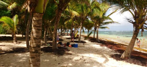 Anse Michel en Martinique
