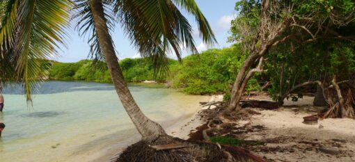 L&rsquo;Îlet Chevalier en Martinique